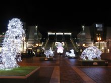 夜、ナニを露出。。。(;゜ロ゜)！