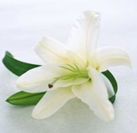ご冥福をお祈り申し上げます。