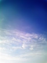 日々是好日