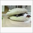 れおたんバーガー　いやホット ...