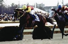 想い出の有馬記念