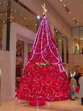 HAPPY Xmas SHOW