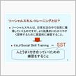 ﾌｫﾙ ﾃｨｽ ＳＳＴ