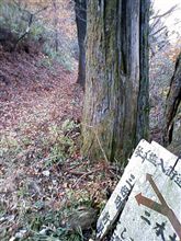 勇気ある撤退