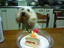 クリスマスケーキ　(≧▼≦)