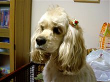 モヒカン