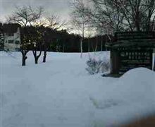 雪道走行！群馬サイクルスポーツセンターの冬♪