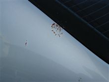糞！！赤い爆弾に被弾！