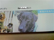 雑誌デビュー