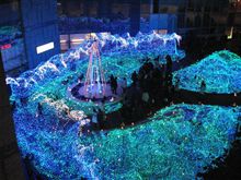 イルミネーション調査隊