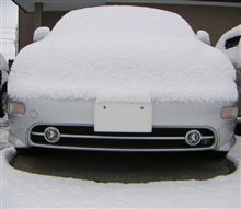 冬らしい雪の朝