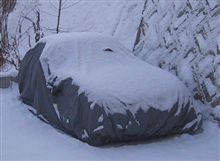 今日は少しなので