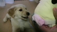 特訓中