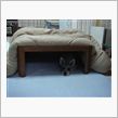 こたつ犬Ⅱ