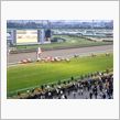 中山競馬場到着