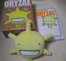 もやしもんＤＶＤ１
