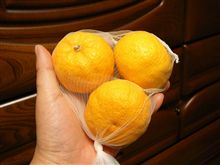 冬至には... ♪