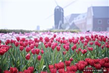 明日、行って来ます(^▽^;)
