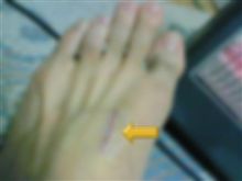 第2164回　猫だって・・・