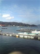 今日もウマウマ
