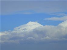 いい天気になりました。