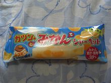 みかん で シャーベット・・・