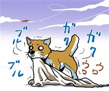 寒い犬