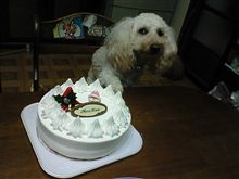 てでぃ～くりすます