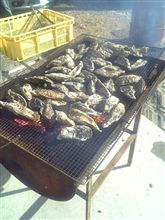 帰還しました♪ 帰還しました♪