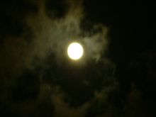 お天気が続くようなので