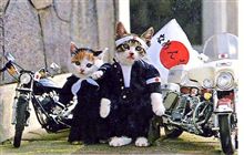 ブレーキバッド....そして「なめ猫」