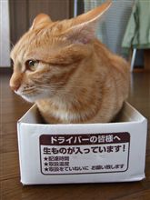 気がつけば・・・