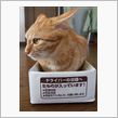 気がつけば・・・