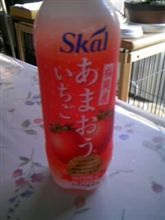 ついに・・・
