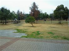 三木SAで小休止