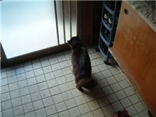 開けゴマ～。
