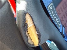 結局、洗車できずにコレだけは