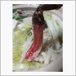 冬は鍋ですなぁ