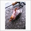 釣り納め