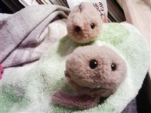 みなさまありがとうございました！