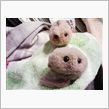 みなさまありがとうございまし ...