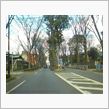 年始の道路は混んでたり空いて ...