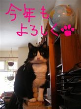 ☆おめでとうございます☆ ☆おめでとうございます☆