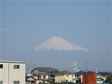 シリーズ『今日の富士山』08.01.08