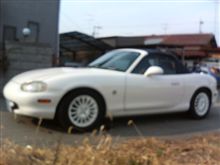 やっと洗車！