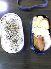 今日の昼食♪