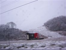 遂に