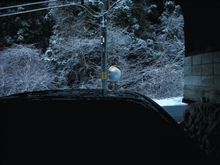 歳暮の残りの期限切れのソーセージでポトフ