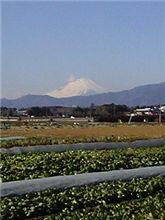 おはこんにちは♪今日も富士山が綺麗だ～♪