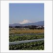 おはこんにちは♪今日も富士山 ...